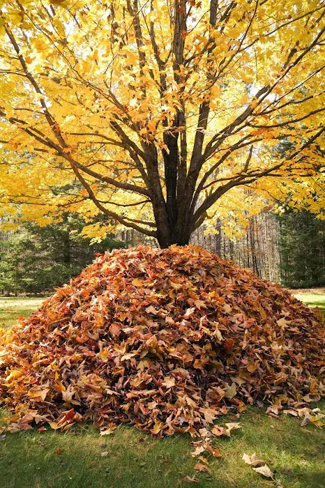 Smart Lawn Care Solutions LLC Picture 3