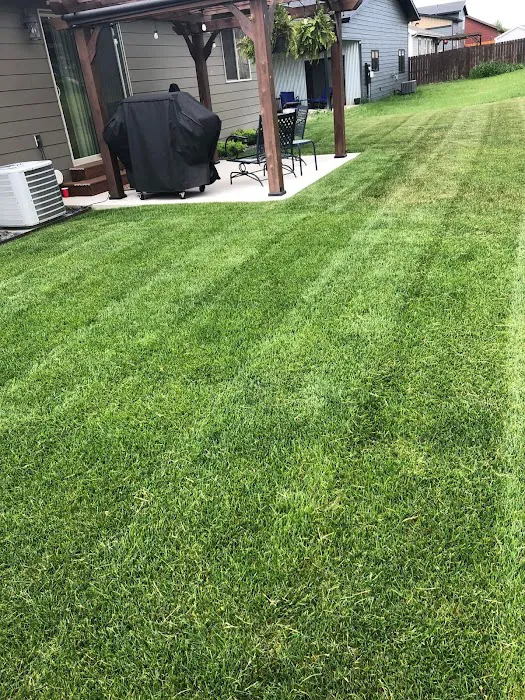 Smart Lawn Care Solutions LLC Picture 8