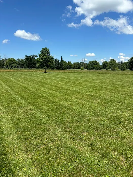 Smart Lawn Care Solutions LLC Picture 6