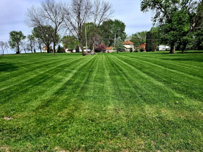 Emerald Dreams Lawn Care Picture 5