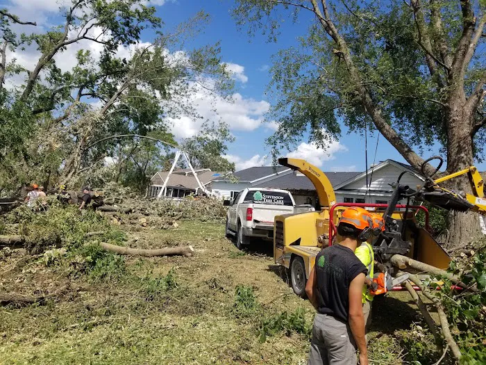 Stevenson Tree & Lawn Care Picture 9
