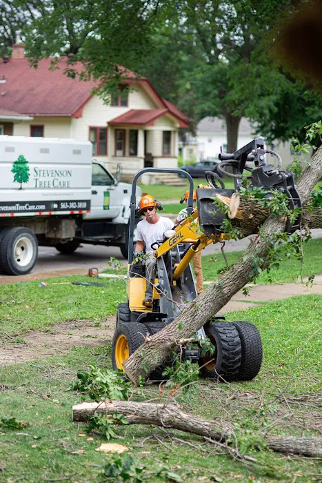 Stevenson Tree & Lawn Care Picture 2