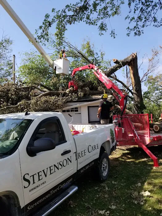 Stevenson Tree & Lawn Care Picture 1