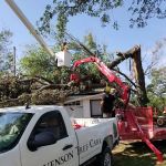 Stevenson Tree & Lawn Care
