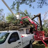Stevenson Tree & Lawn Care ico