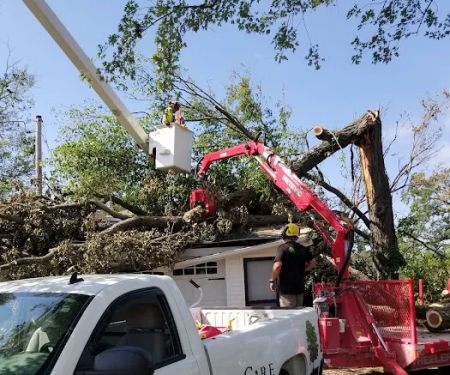 Stevenson Tree & Lawn Care