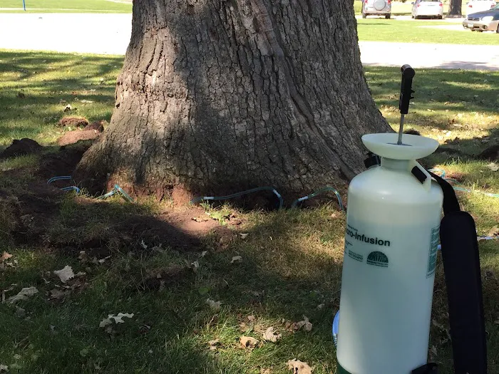 Stevenson Tree & Lawn Care Picture 6