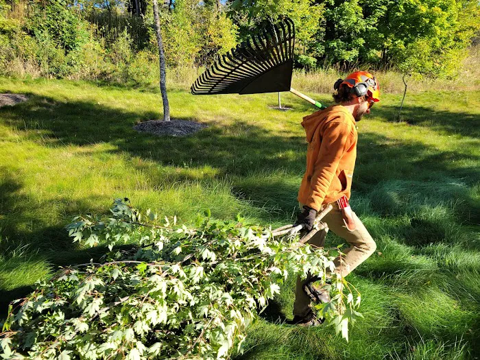 Stevenson Tree & Lawn Care Picture 5