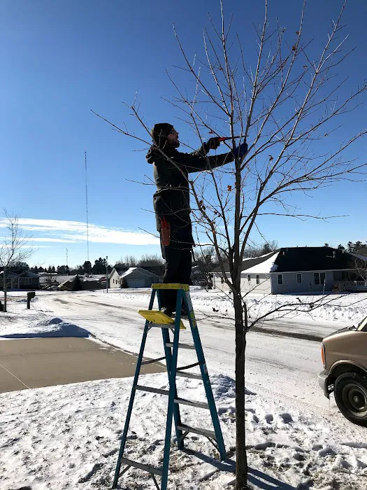 Stevenson Tree & Lawn Care Picture 10