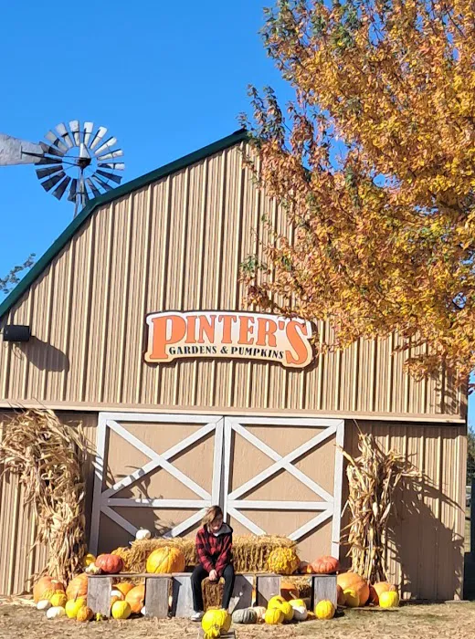 Pinter's Gardens & Pumpkins Picture 5