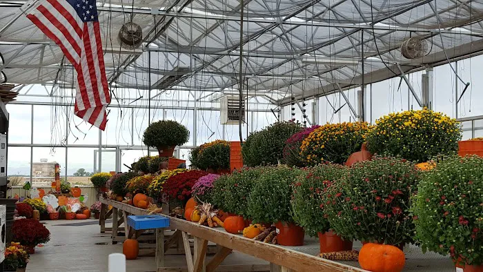 Pinter's Gardens & Pumpkins Picture 6