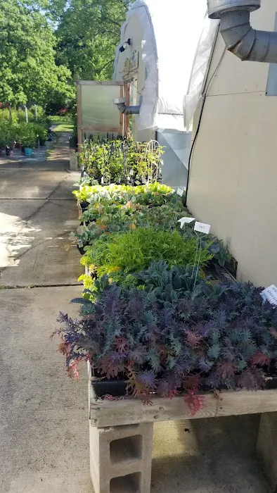 Treehouse Landscaping & Garden Center - Minnesota Picture 5