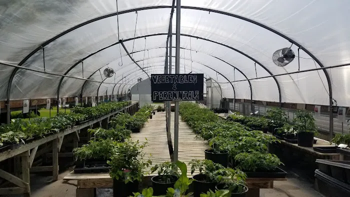 Treehouse Landscaping & Garden Center - Minnesota Picture 1