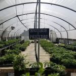 Treehouse Landscaping & Garden Center - Minnesota