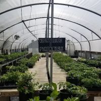 Treehouse Landscaping & Garden Center - Minnesota ico