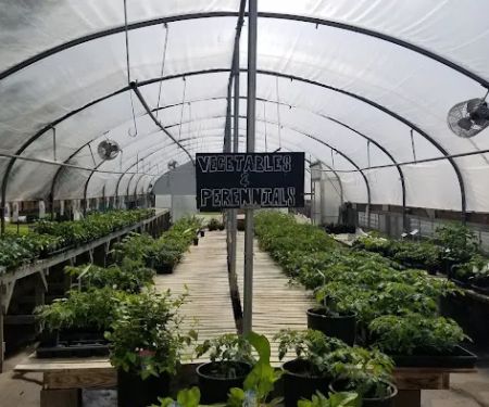 Treehouse Landscaping & Garden Center - Minnesota