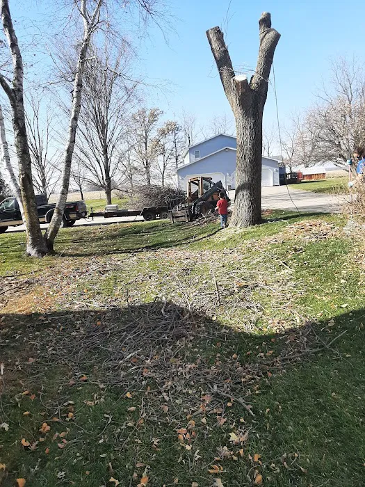 Michael Firewood and Tree Service, LLC Picture 9