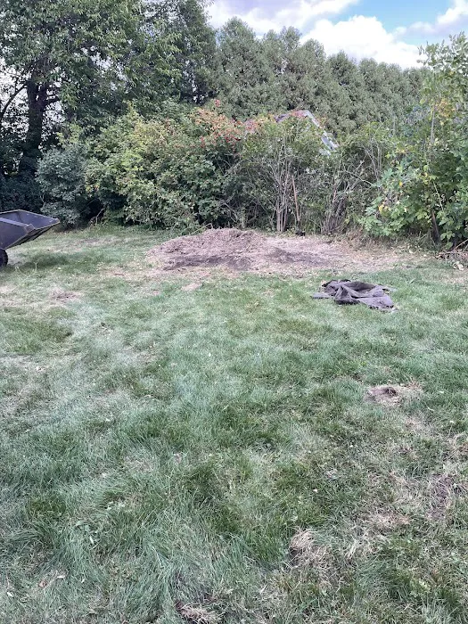 Michael Firewood and Tree Service, LLC Picture 4