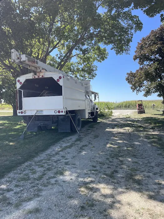 Michael Firewood and Tree Service, LLC Picture 6