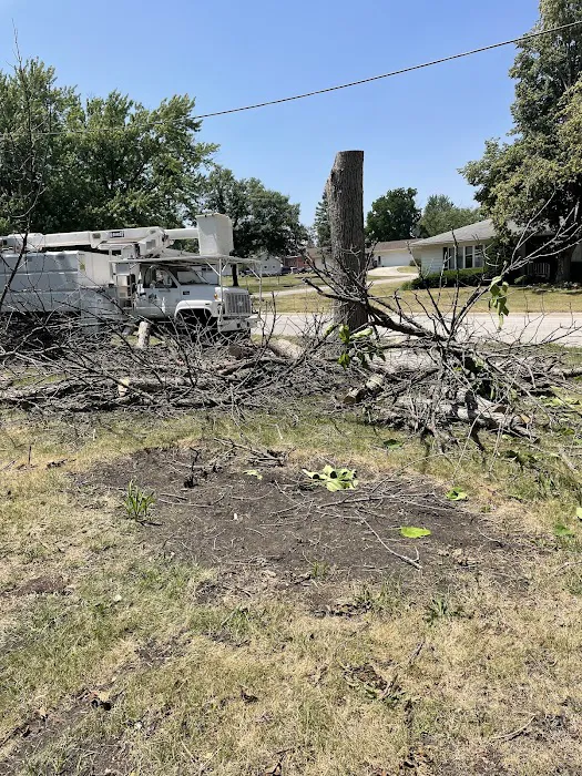 Michael Firewood and Tree Service, LLC Picture 10
