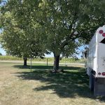 Michael Firewood and Tree Service, LLC