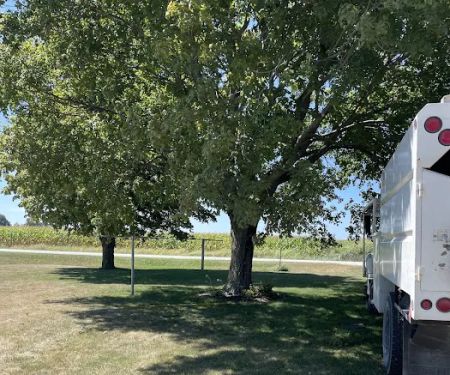 Michael Firewood and Tree Service, LLC