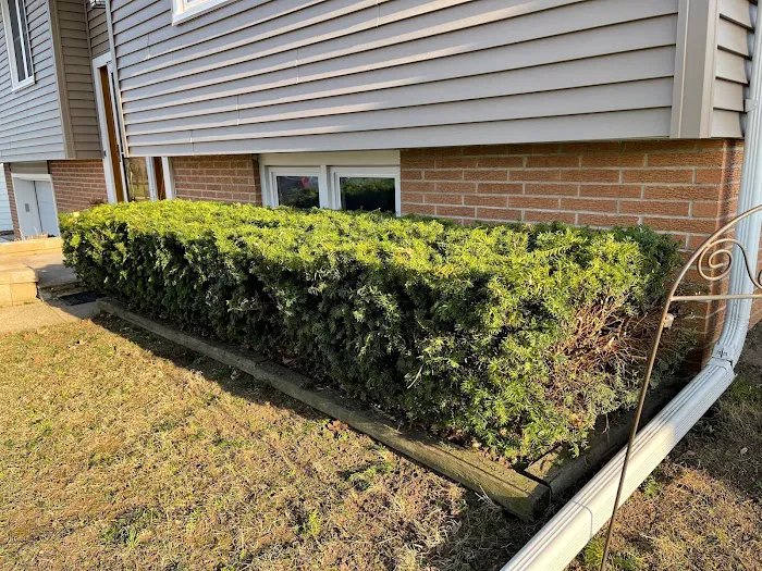 Denver Home & Lawn Picture 3