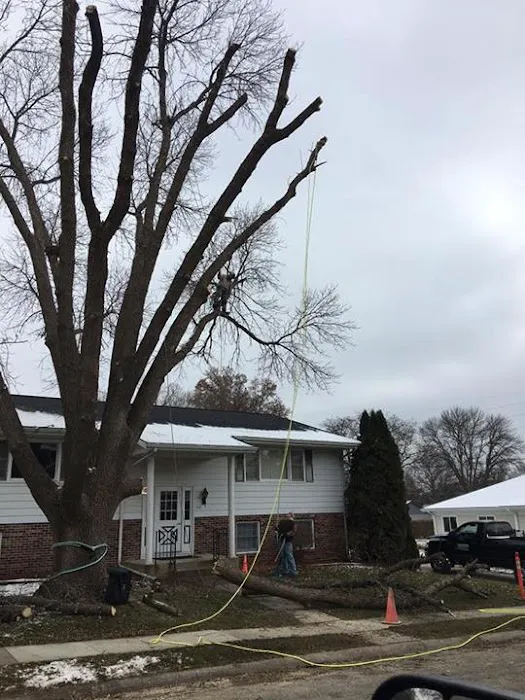 Hartman Tree and Landscaping Services, L.L.C. Chris Jones Picture 2