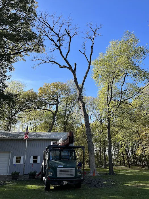 Hartman Tree and Landscaping Services, L.L.C. Chris Jones Picture 10