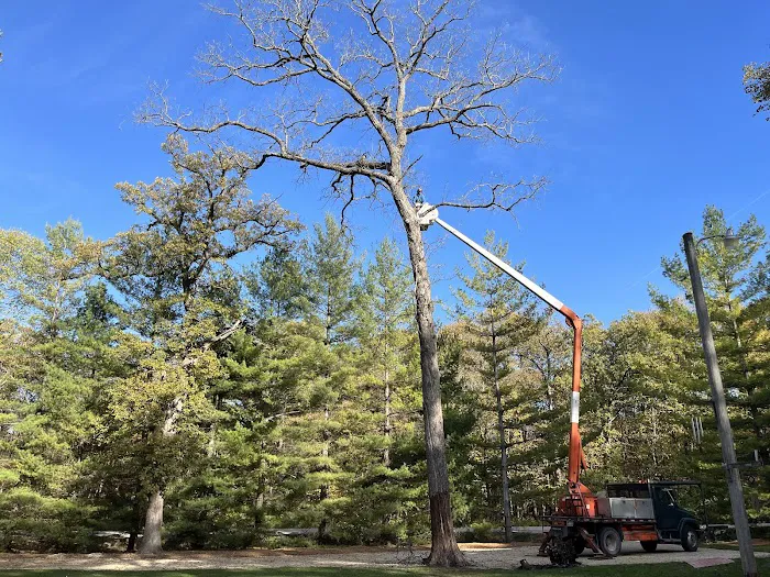 Hartman Tree and Landscaping Services, L.L.C. Chris Jones Picture 1