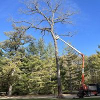 Hartman Tree and Landscaping Services, L.L.C. Chris Jones ico