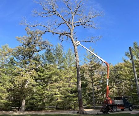 Hartman Tree and Landscaping Services, L.L.C. Chris Jones