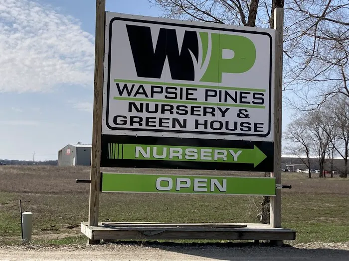 Wapsie Pines Lawncare & Landscaping, Inc. Picture 8
