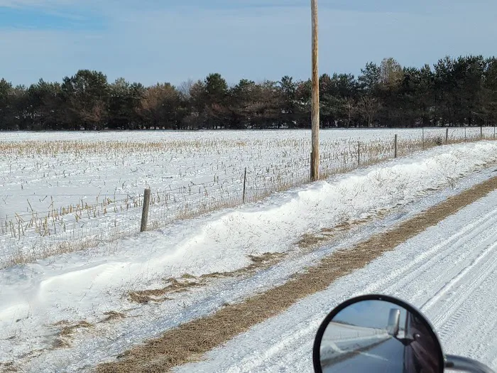 Wapsie Pines Lawncare & Landscaping, Inc. Picture 2