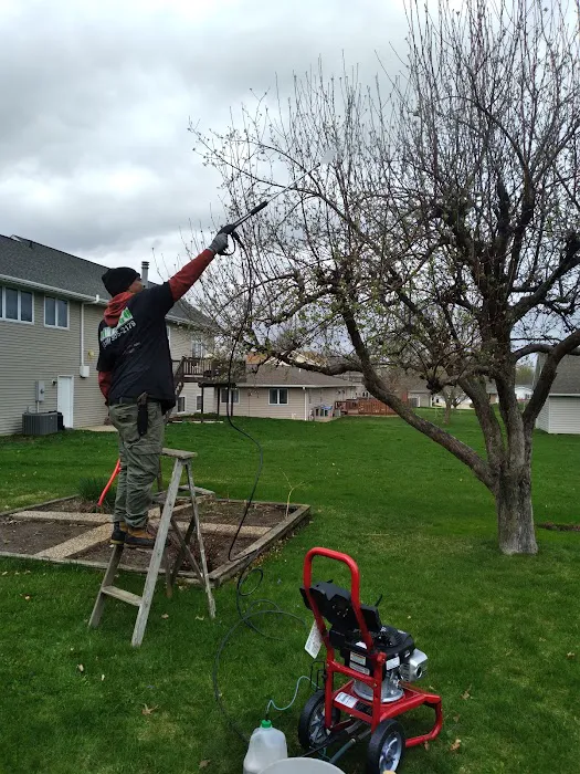 Cut and Go Landscaping Picture 5