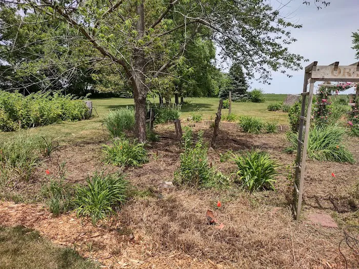 Cut and Go Landscaping Picture 3