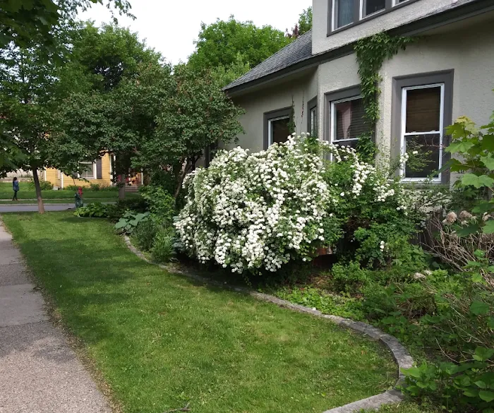 Cut and Go Landscaping Picture 4