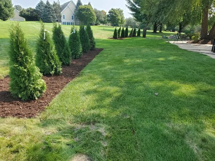 Bare Roots Landscaping Picture 2