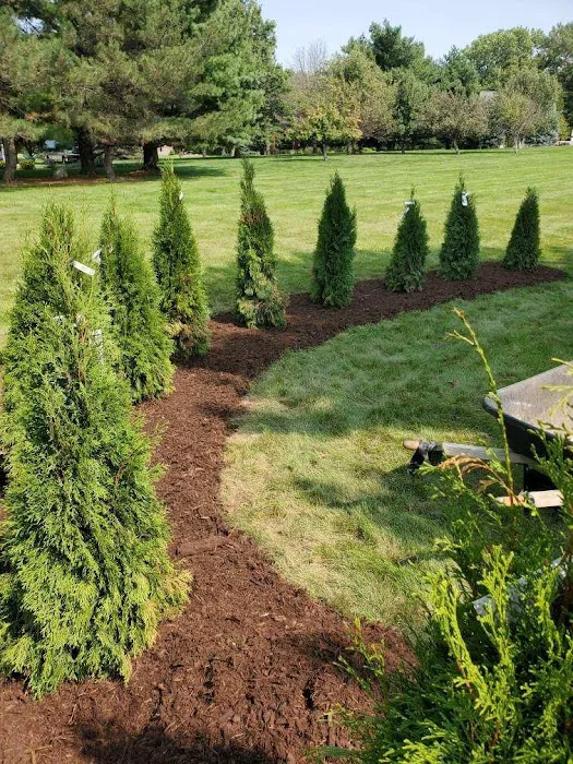 Bare Roots Landscaping Picture 9