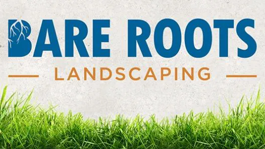 Bare Roots Landscaping Picture 3