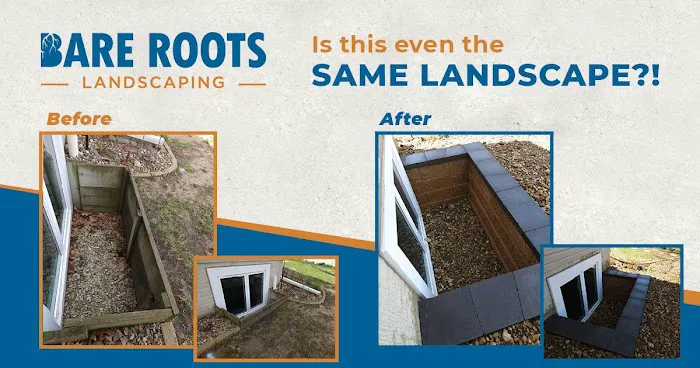 Bare Roots Landscaping Picture 1
