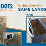 Bare Roots Landscaping