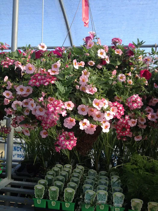 Pam's Greenhouses Picture 4