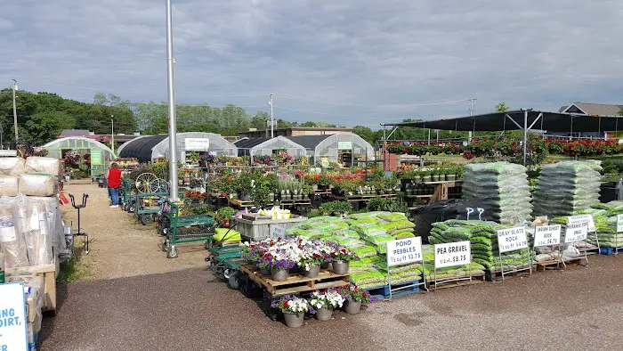 Pam's Greenhouses Picture 7