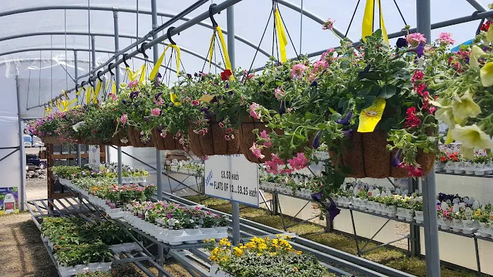 Pam's Greenhouses Picture 10