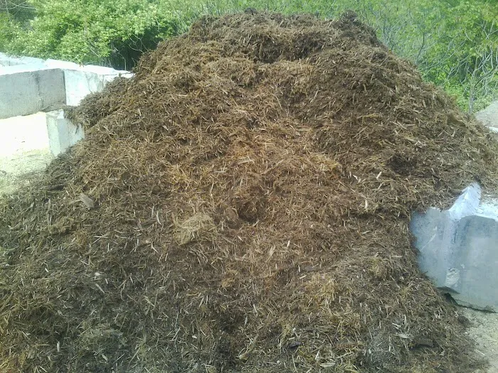 Oles Excavating LLC Picture 5