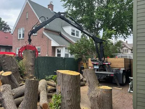 Krumrie Tree Service Picture 7