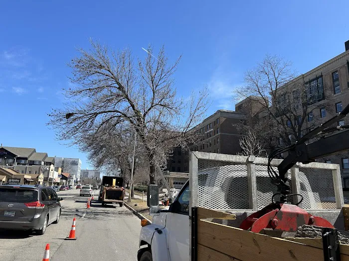 Krumrie Tree Service Picture 4
