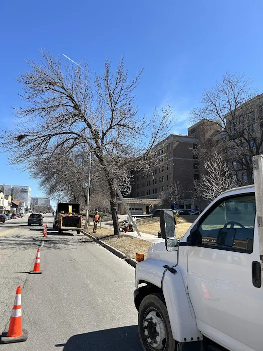 Krumrie Tree Service Picture 6