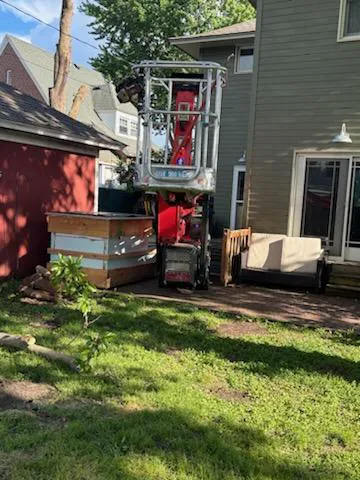 Krumrie Tree Service Picture 5